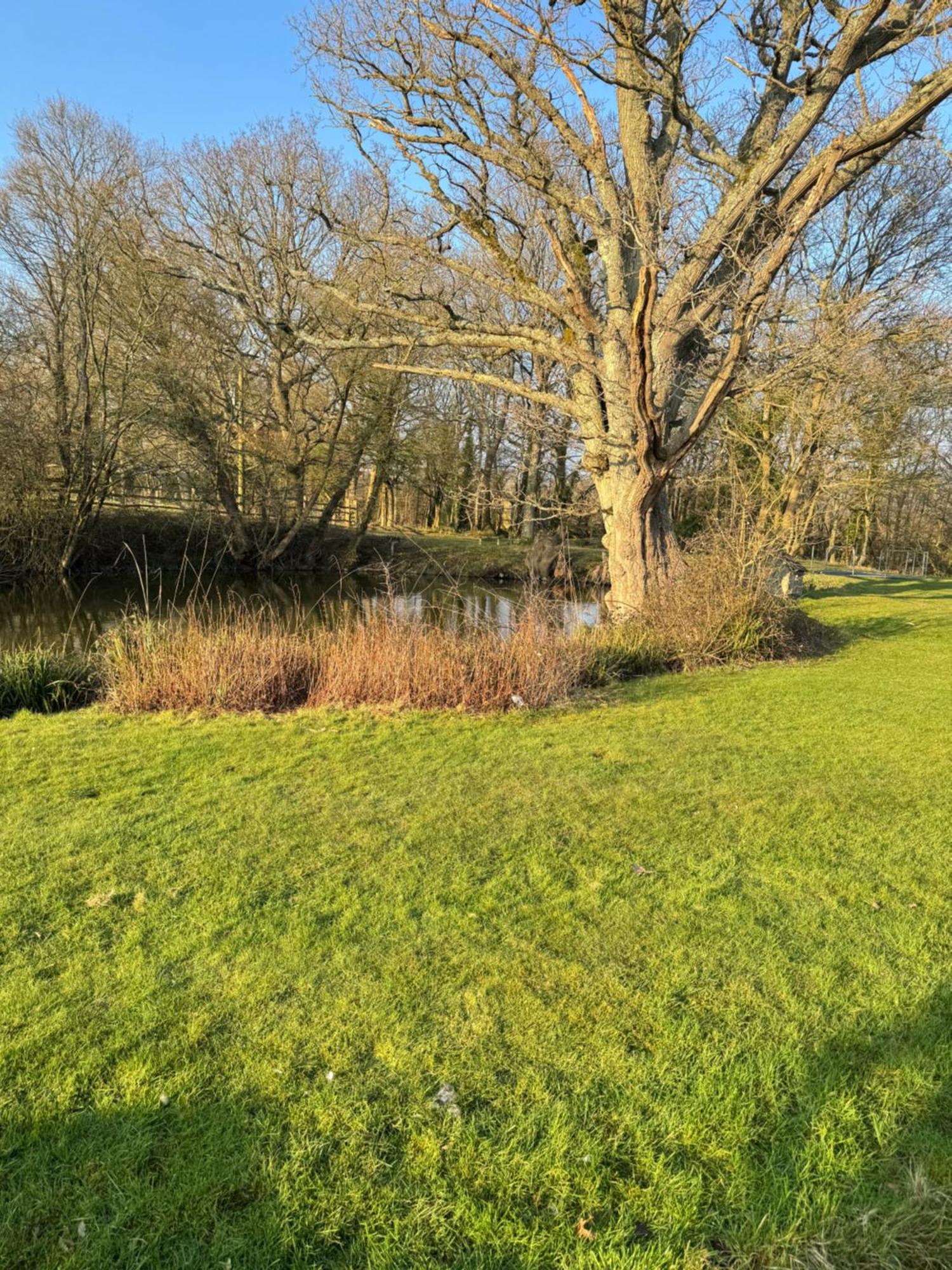 Apartmán Waters Edge Rolvenden Exteriér fotografie